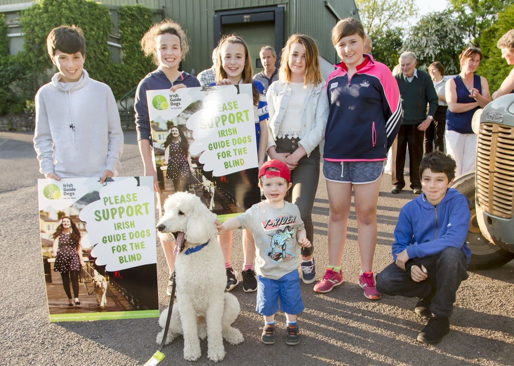 Launch of the De Courcey Harvest Working Day Raffle in aid the Irish Guide Dogs and local Community Groups on Monday 1st August marking the 80th anniversary of the production of the Ferguson Tractor, top prize is a trip to London with Barter Travel, Bandon. Pictured are Arron O Riordan, Laura Helbrow, Shauna Farrelly, Roisin Gallagher, Niamh Nyhan, Paul O Riordan with Darragh Buttimer in front with Buttons from the Irish Guide Dogs